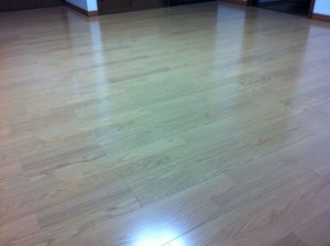 大建工業　キャプテンアタックタフN